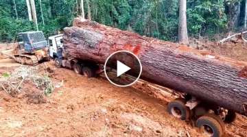 Extremely Dangerous Logging Trucks Crossing River and Climbing Steep Mountain Roads in Asia