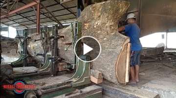 Dangerous Biggest Wood Cutting - Hundreds Years Old Tree
