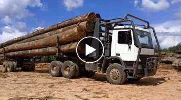 Extreme fastest logging truck on the road